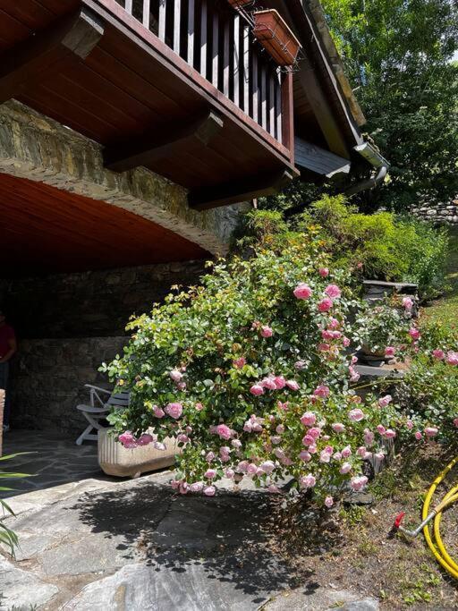Chalet Cheverel Remondey Ngoại thất bức ảnh